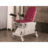 Scaun examinare ginecologica (trei motoare) TM-A 1021 INKA18-lila